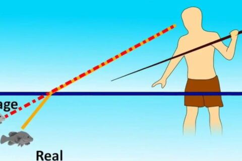 Laws of Reflection and Refraction